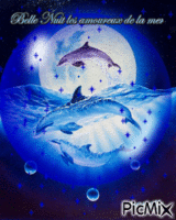 belle nuit les amoureux de la mer - 無料のアニメーション GIF