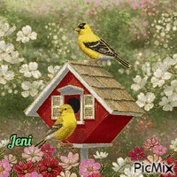 Red bird house - Darmowy animowany GIF