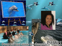 Pour toi qui aime les dauphins GIF animasi