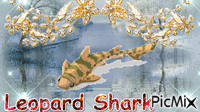 Leopard Shark - Gratis animerad GIF