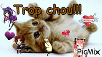 Trop chou le chat!!<3 - Бесплатный анимированный гифка