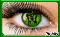 Green Eye! - GIF animé gratuit