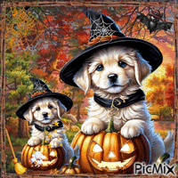 Chien d'Halloween. - Free animated GIF