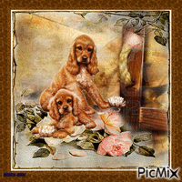 Dogs-flowers-roses анимирани ГИФ