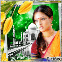 Taj - Mahal GIF animado