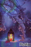 Winter candle light - Kostenlose animierte GIFs