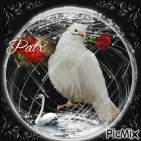 Paix - 無料のアニメーション GIF