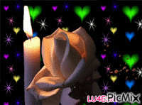 rosa romantica - Ilmainen animoitu GIF