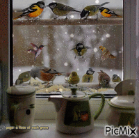 birds - Animovaný GIF zadarmo