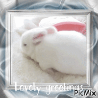 bunny animasyonlu GIF