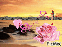 une rose d'amitié Animated GIF