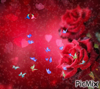 MAGIA - Bezmaksas animēts GIF