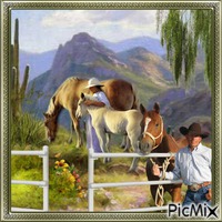 Horses grazing. - бесплатно png