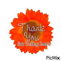 Thank you for being here - GIF animé gratuit