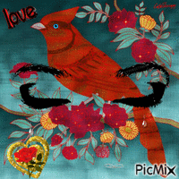 Red Robin Love - GIF animé gratuit