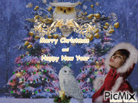 MERRY CHRISTMAS AND HAPPY NEW YEAR OWL 1 アニメーションGIF