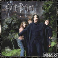 Severus Rogue (Harry Potter)