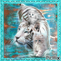tigre et chats animovaný GIF