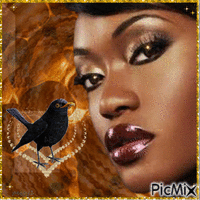 blackbird singing - GIF animate gratis