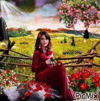 La robe rouge - Ingyenes animált GIF