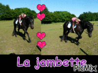 jambette - Free animated GIF