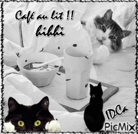 Café du chat Gif Animado
