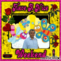 Have a nice Weekend - Free animated GIF