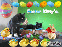 Easter kitty's - GIF animate gratis