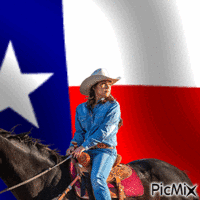 Texas cowgirl animoitu GIF