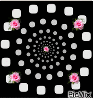 rosas gif - GIF animado grátis