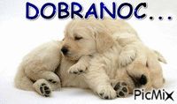 DOBRANOC - 免费动画 GIF