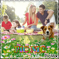 Family  in picnic - GIF animate gratis
