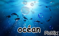 Pacifique - Ilmainen animoitu GIF