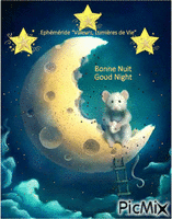 Bonne Nuit - Good Night - GIF animasi gratis