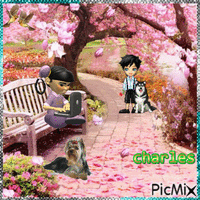 charles - 免费动画 GIF