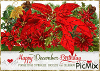 Happy December Birthday animeret GIF