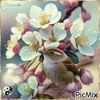 Cerisier - GIF animé gratuit