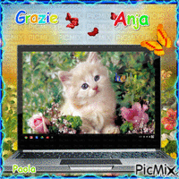 THIS IS OF MY SWEET FRIEND PAOLA!THANK YOU VERY MUCH!XO!;) - 無料のアニメーション GIF