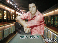 solo elvis - 免费动画 GIF