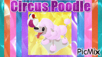 Circus Poodle Animated GIF