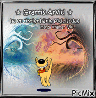 Grattis Arvid 2017 animovaný GIF