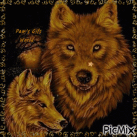 Wolf Mirror Images - GIF animate gratis