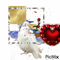 Picmix chouet - Free animated GIF