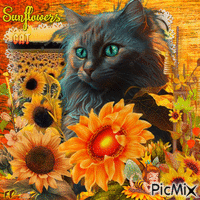 Katze in den Sonnenblumen - Zdarma animovaný GIF