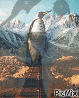 Paisaje pingüino GIF animasi