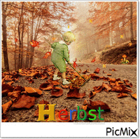 herbst Animated GIF