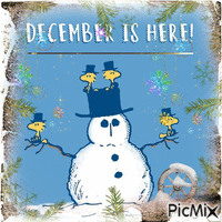 Hello December!   🙂❄️🎄🎅 - Gratis animerad GIF