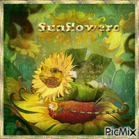 In the magical world of sunflowers - Gratis animerad GIF