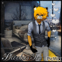 {♥♥♥}Phoebus Fox{♥♥♥}