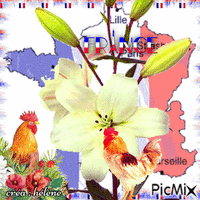 État de naissance _ fleur et oiseau emblématique - Ingyenes animált GIF